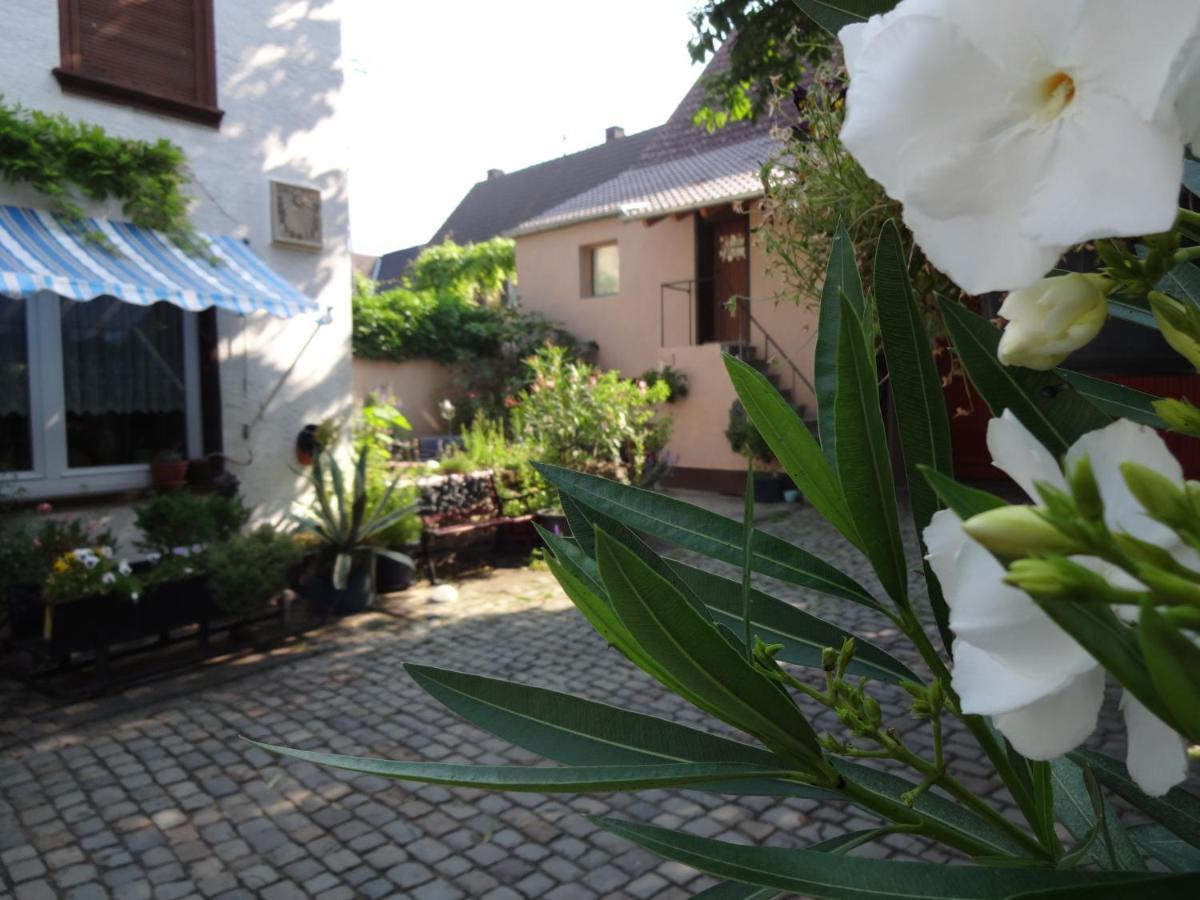 Pension Deerkemer Kuh Dorn-Durkheim Esterno foto